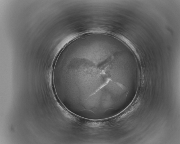 X0000113221245200909171548