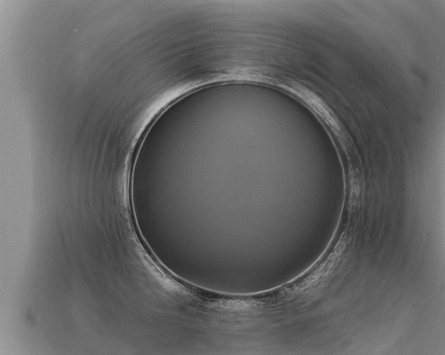 X0000113221246200909171548