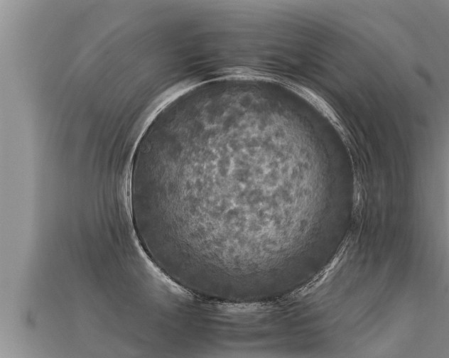 X0000113221247200909171548