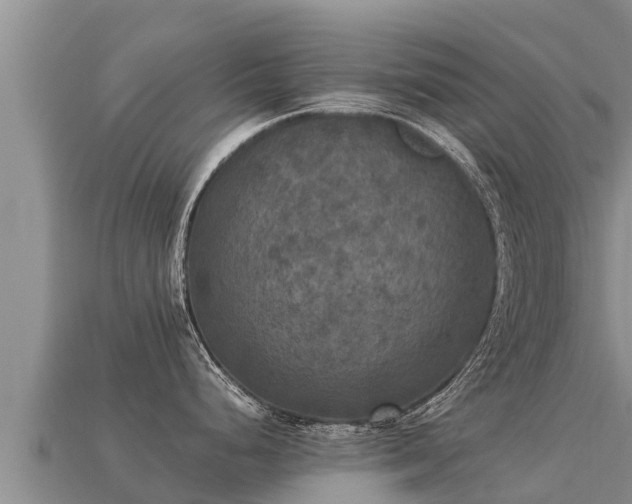 X0000113221248200909171549