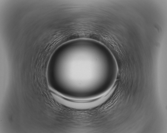 X0000113221249200909171548