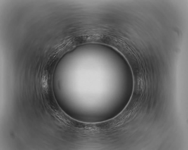 X0000113221250200909171548