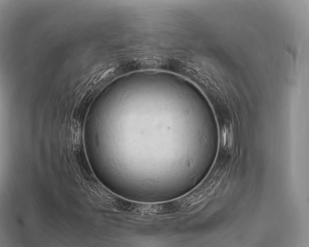 X0000113221251200909171548