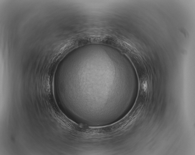 X0000113221252200909171548