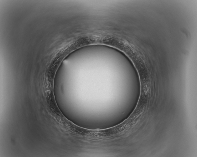 X0000113221253200909171548