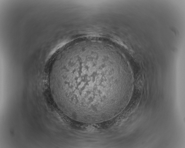 X0000113221255200909171548