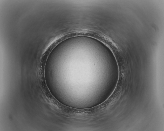 X0000113221256200909171548