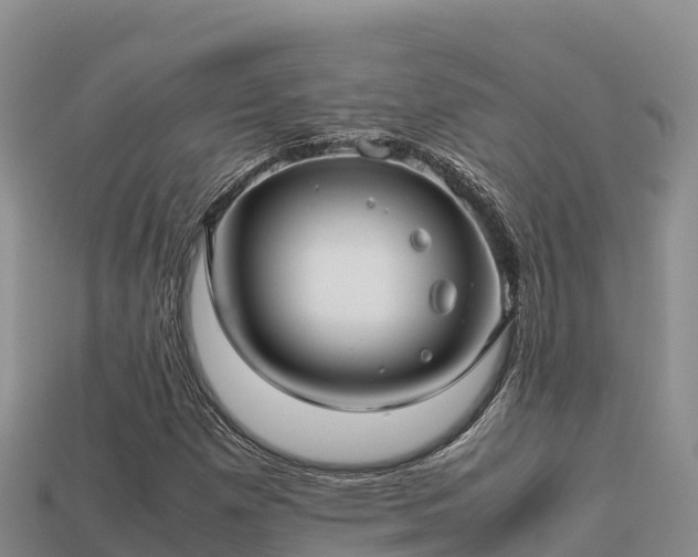 X0000113221257200909171548