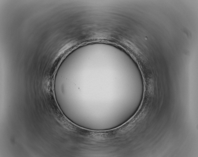 X0000113221258200909171548