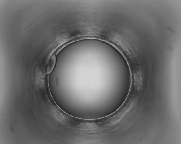 X0000113221260200909171548