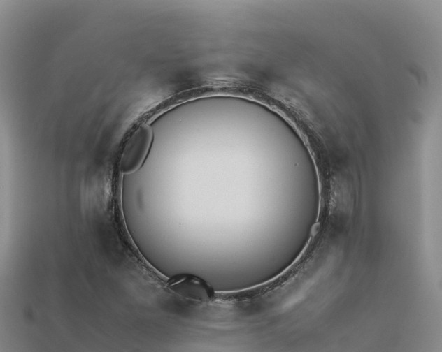 X0000113221261200909171548