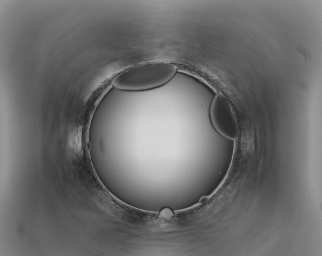 X0000113221262200909171548