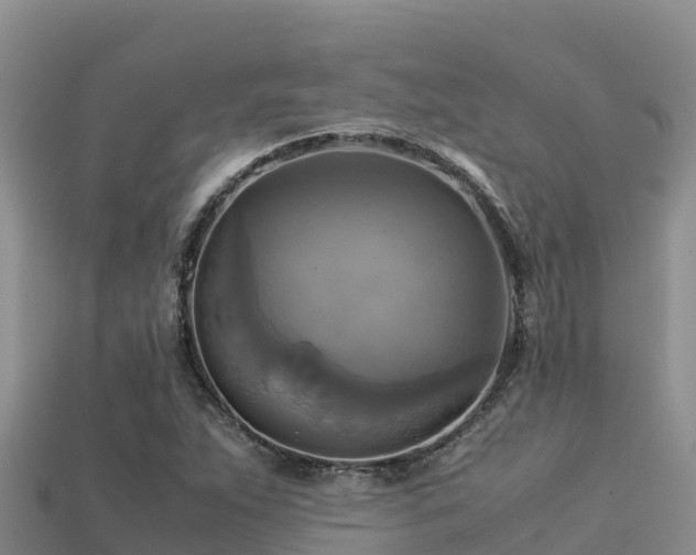 X0000113221263200909171548