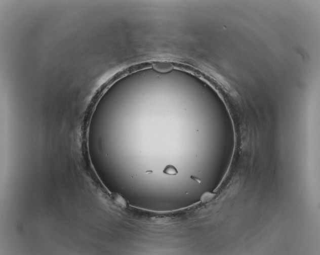 X0000113221264200909171548