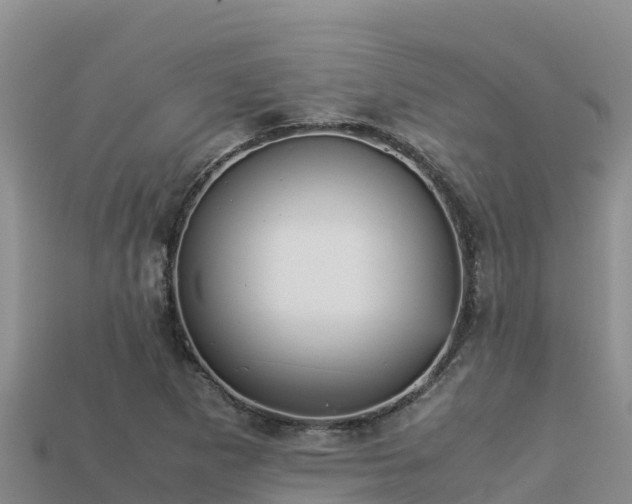 X0000113221265200909171548