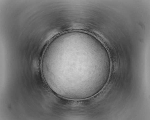 X0000113221266200909171548