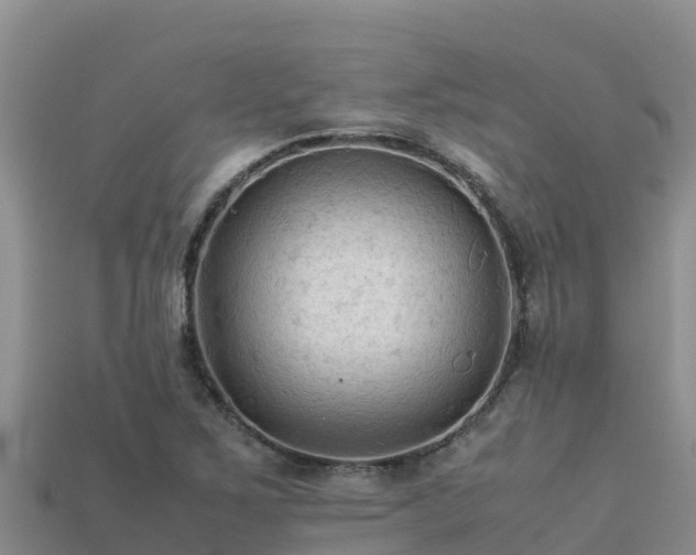 X0000113221267200909171547