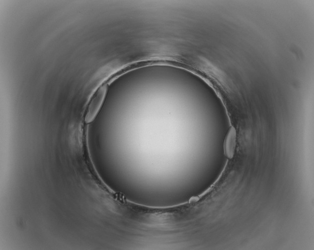 X0000113221268200909171547