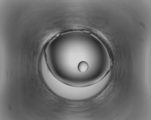 X0000113221269200909171547