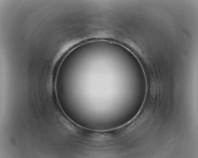 X0000113221270200909171547