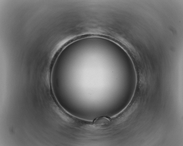 X0000113221272200909171547