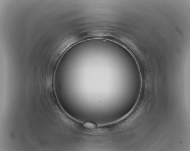 X0000113221273200909171547