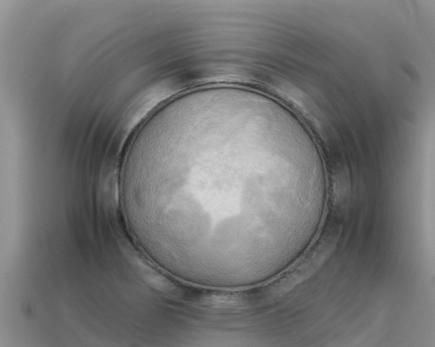 X0000113221274200909171547