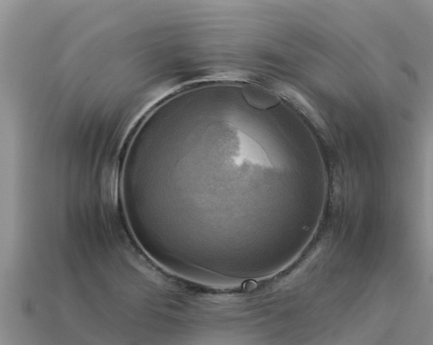 X0000113221276200909171547