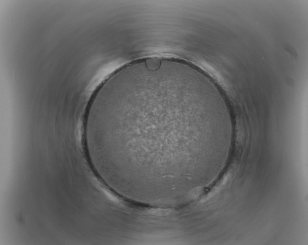 X0000113221277200909171547