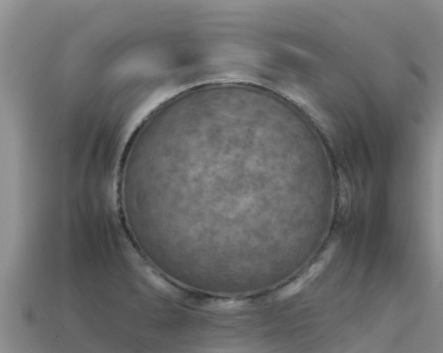 X0000113221278200909171547