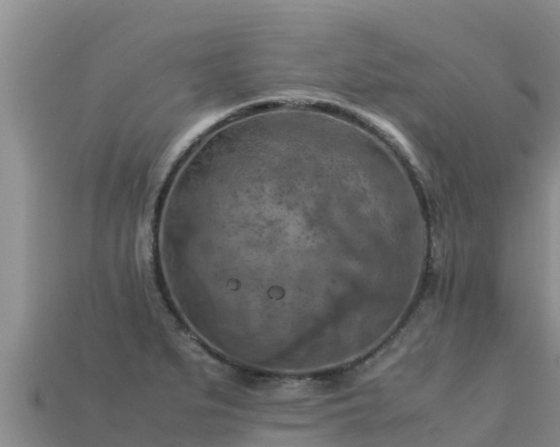 X0000113221279200909171547