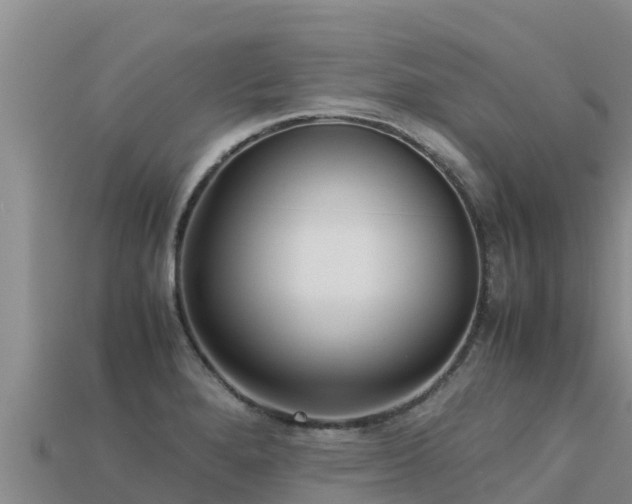 X0000113221280200909171547