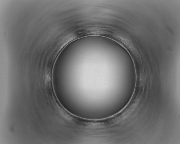 X0000113221281200909171547