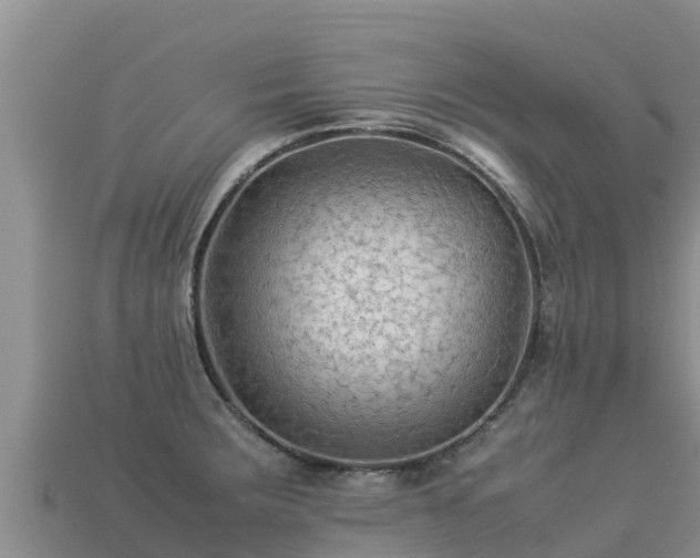 X0000113221283200909171547