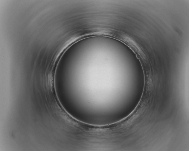 X0000113221284200909171547