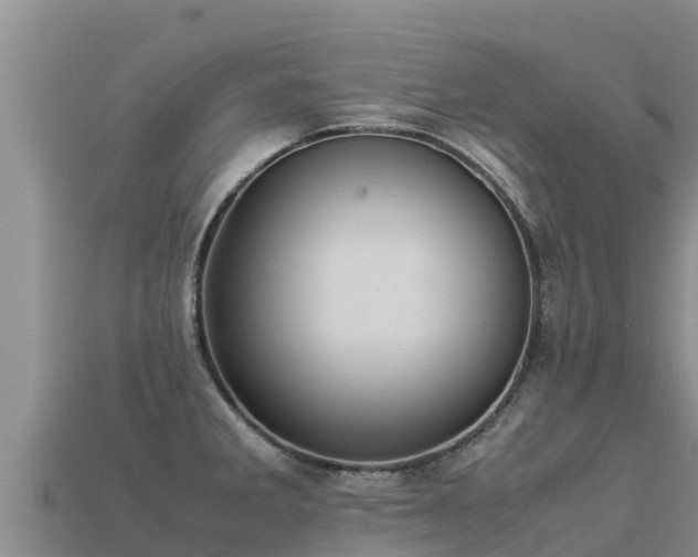 X0000113221285200909171547