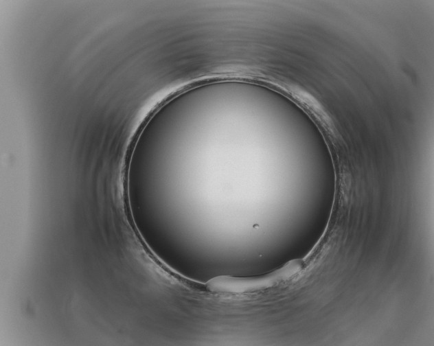 X0000113221288200909171547