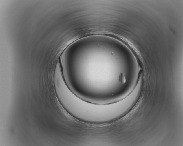 X0000113221289200909171547