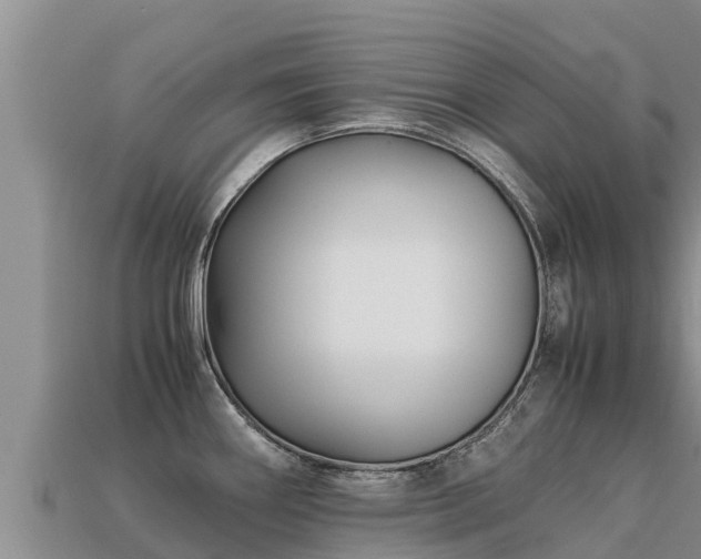 X0000113221290200909171547