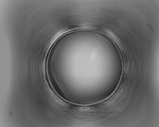 X0000113221291200909171547