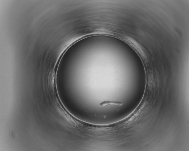 X0000113221292200909171547