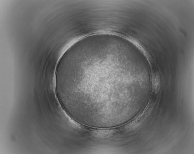 X0000113221294200909171547