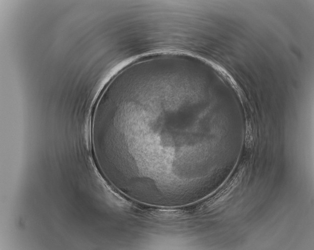 X0000113221295200909171547