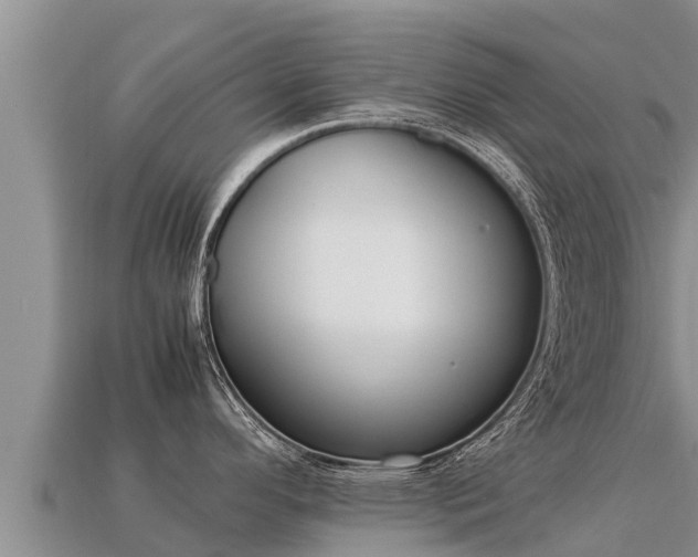 X0000113221296200909171547