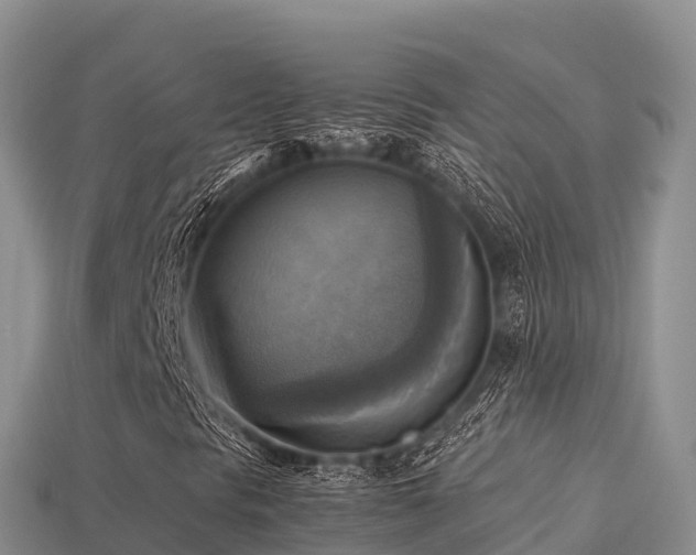 X0000113221297200909171546