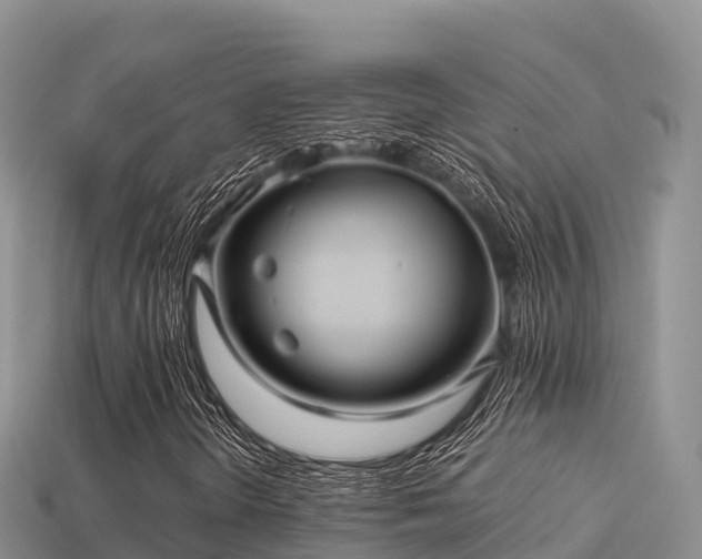 X0000113221298200909171546