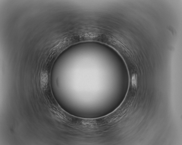 X0000113221299200909171546