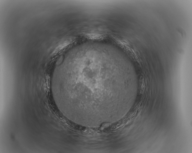 X0000113221301200909171546