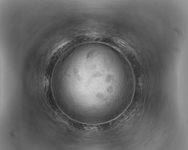 X0000113221302200909171546