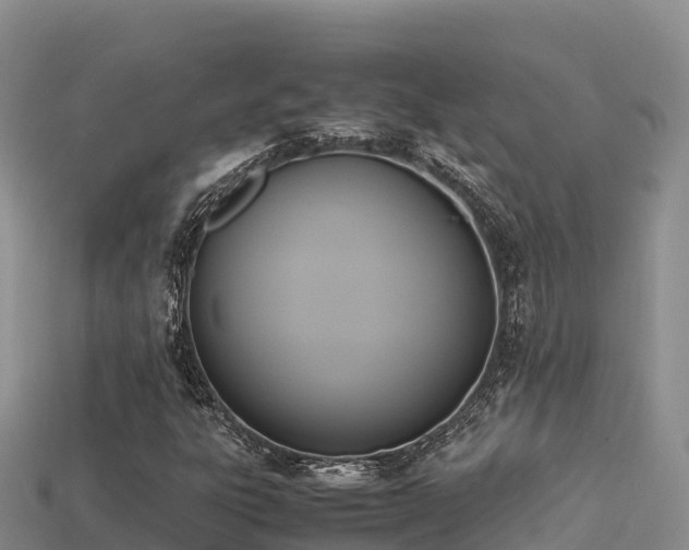 X0000113221303200909171546